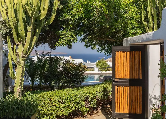 Myconian Platinum Senior & Deluxe