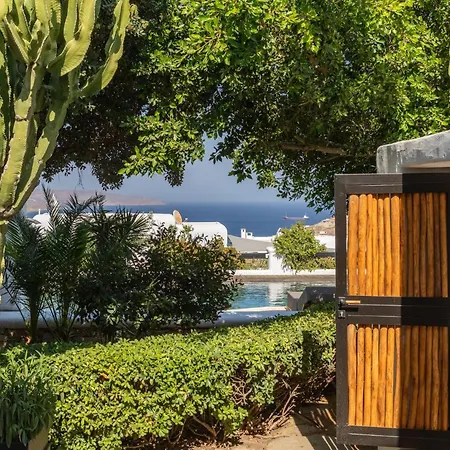 Myconian Platinum Senior & Deluxe